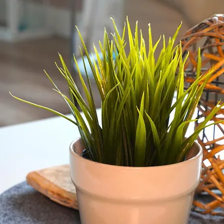 Weisse Haus Am Apartament *