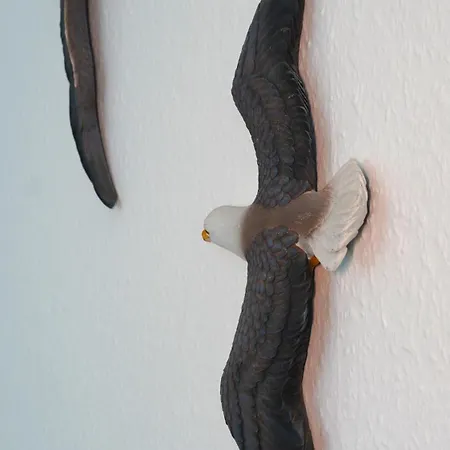 Weisse Haus Am Apartament